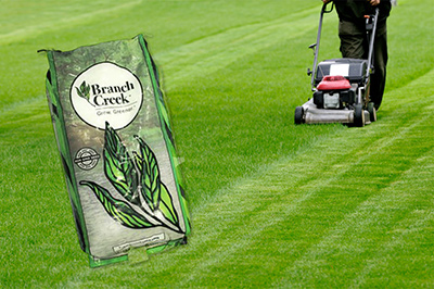 Buy Evolution Seed by Branch Creek - product image shown on picutre of green lawn being mowed by push mower