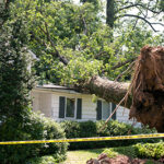 Emergency tree service is needed from tree companies in Smithville for this home that has a tree fallen onto the roof